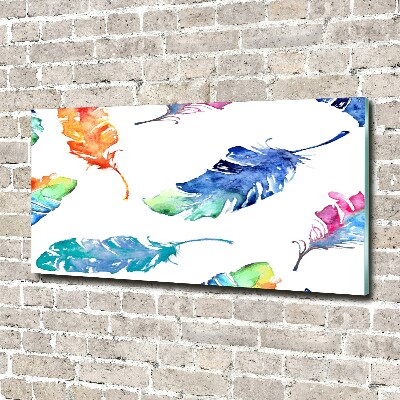 Glass art picture Colorful feathers