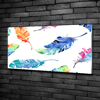 Glass art picture Colorful feathers