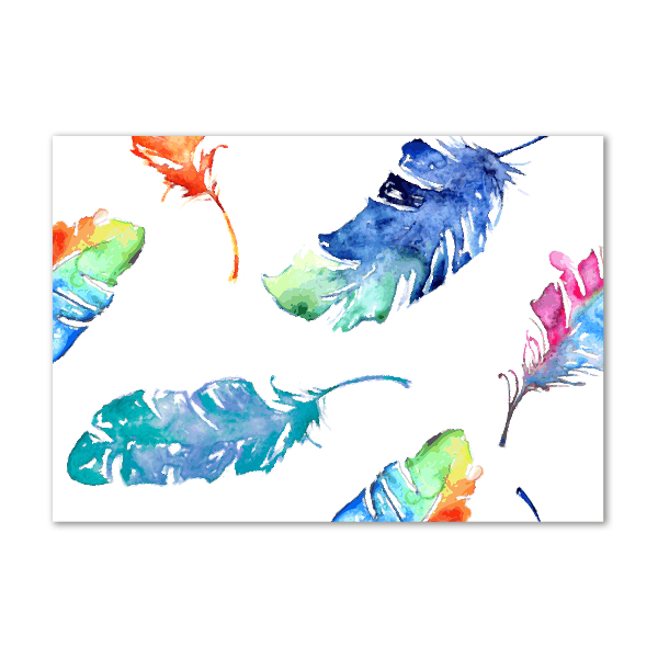 Glass art picture Colorful feathers