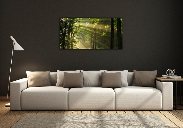 Photo printed on glass Forest in the sun