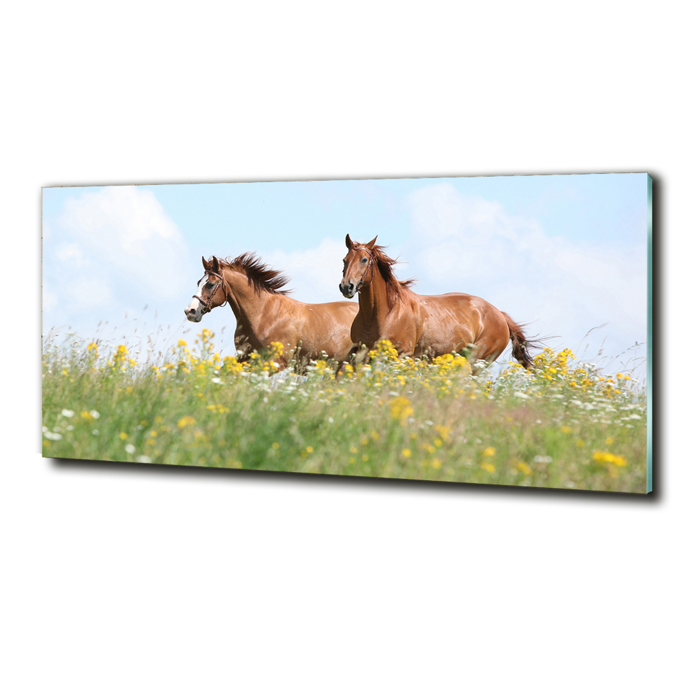 Wall art on glass Two horses at a gallop