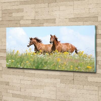 Wall art on glass Two horses at a gallop