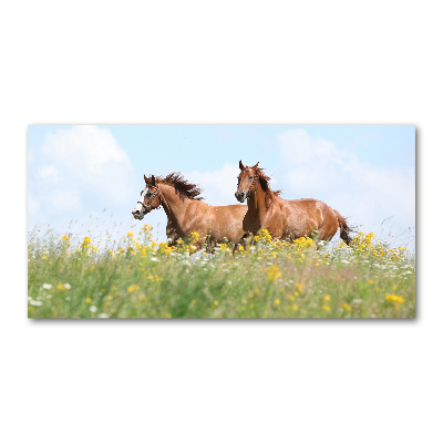 Wall art on glass Two horses at a gallop