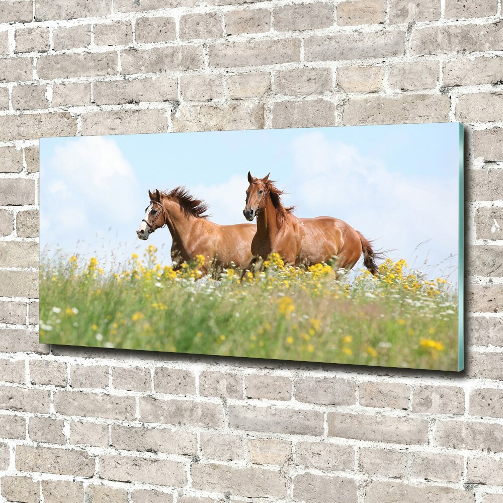 Wall art on glass Two horses at a gallop