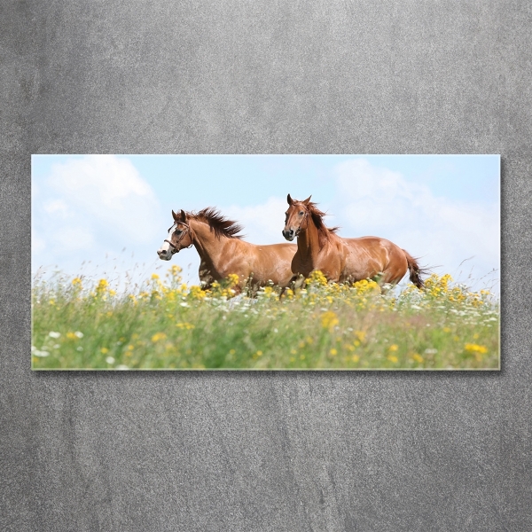 Wall art on glass Two horses at a gallop