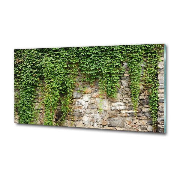 Glass art print Green ivy