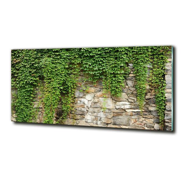 Glass art print Green ivy