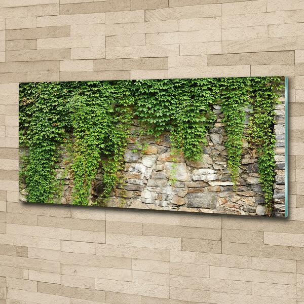 Glass art print Green ivy