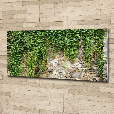 Glass art print Green ivy