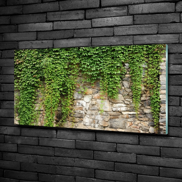 Glass art print Green ivy