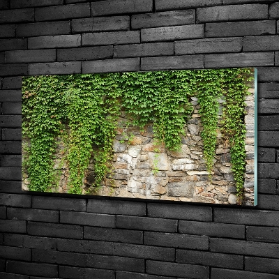 Glass art print Green ivy