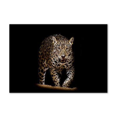 Glass wall art Jaguar