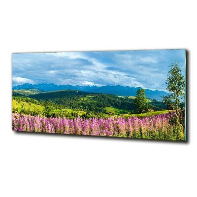 Glass art print Lavender in the mountains