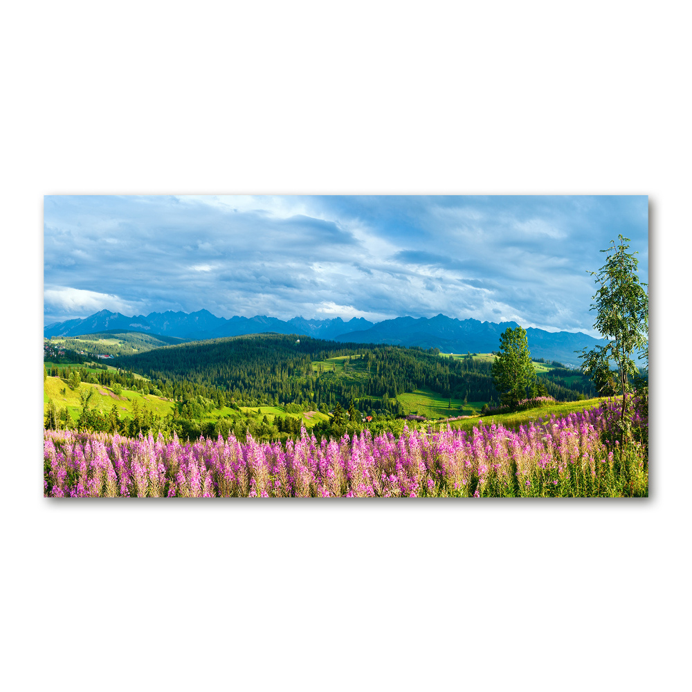 Glass art print Lavender in the mountains