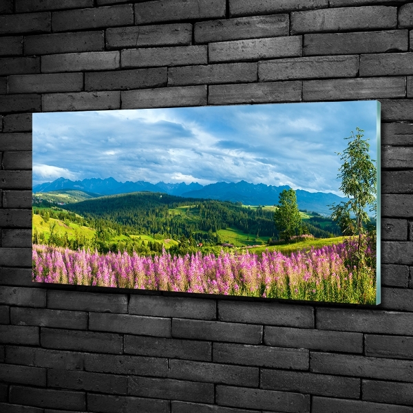 Glass art print Lavender in the mountains