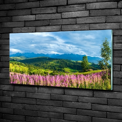 Glass art print Lavender in the mountains