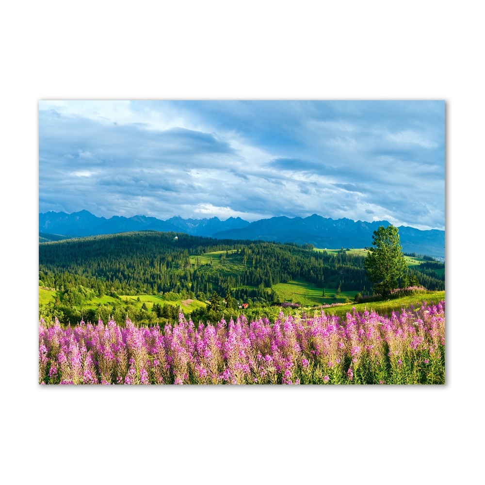 Glass art print Lavender in the mountains