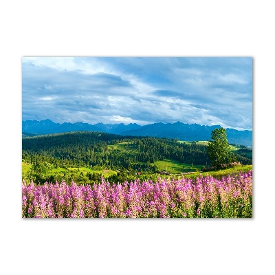 Glass art print Lavender in the mountains