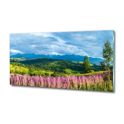 Glass art print Lavender in the mountains