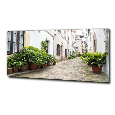 Glass art print Charming street