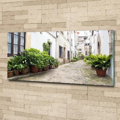 Glass art print Charming street