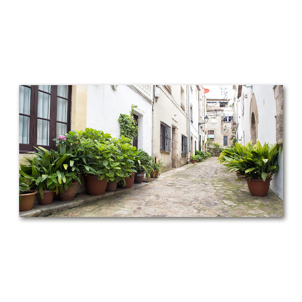 Glass art print Charming street