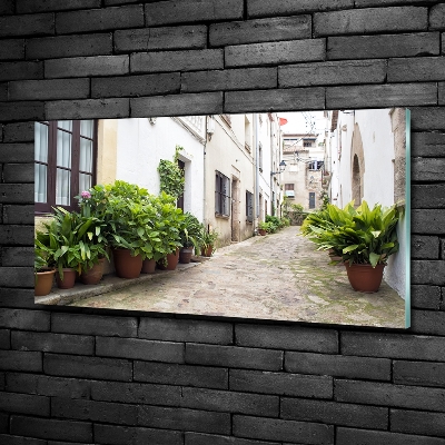 Glass art print Charming street