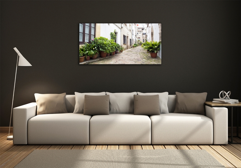 Glass art print Charming street