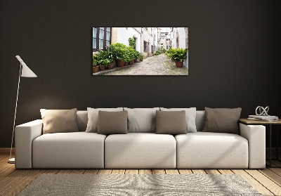 Glass art print Charming street