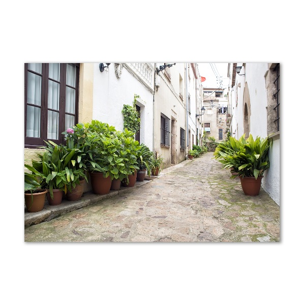 Glass art print Charming street