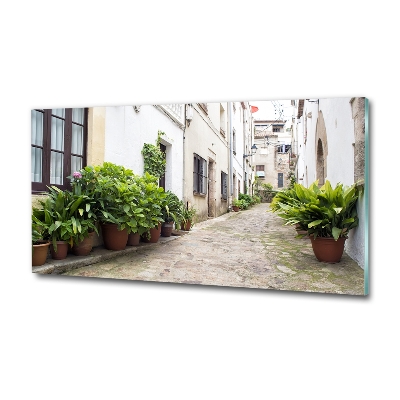 Glass art print Charming street