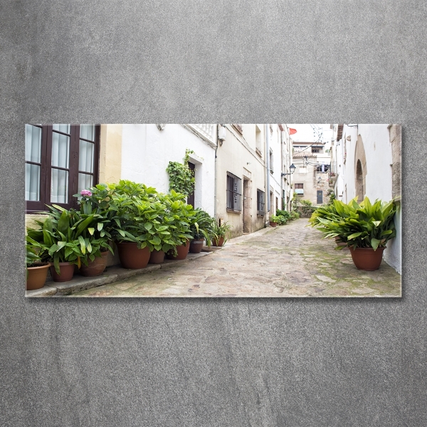 Glass art print Charming street