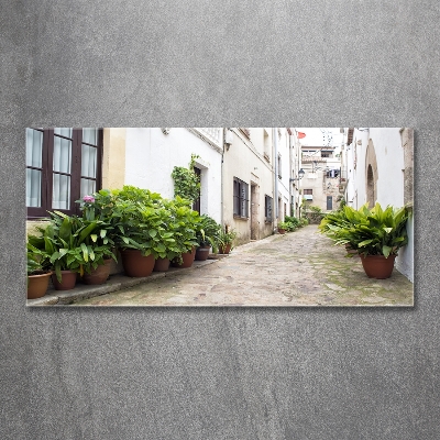 Glass art print Charming street