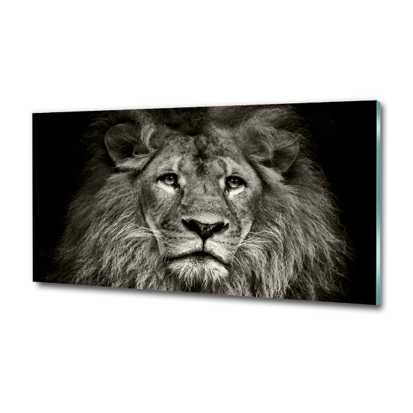 Wall art on glass Lion