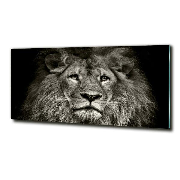 Wall art on glass Lion