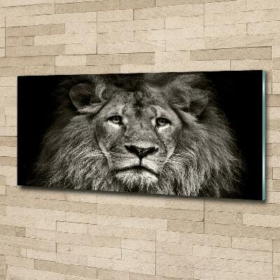 Wall art on glass Lion