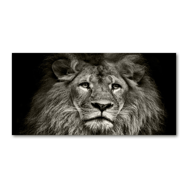 Wall art on glass Lion