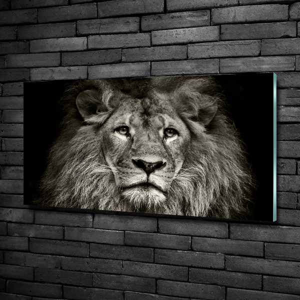 Wall art on glass Lion