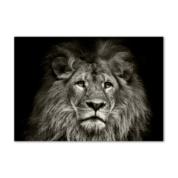 Wall art on glass Lion