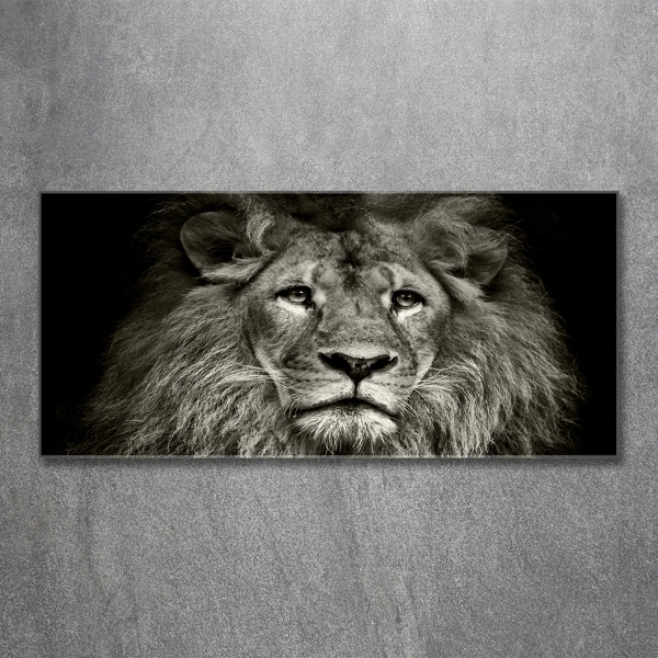 Wall art on glass Lion