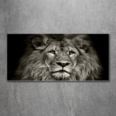 Wall art on glass Lion