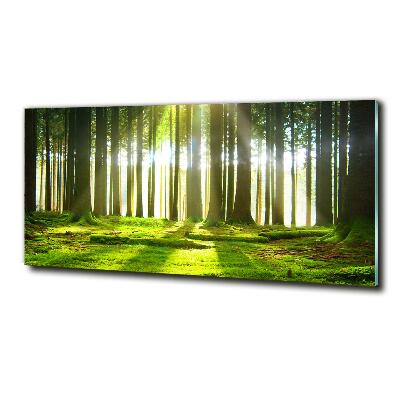 Glass picture wall art Forest in the sun