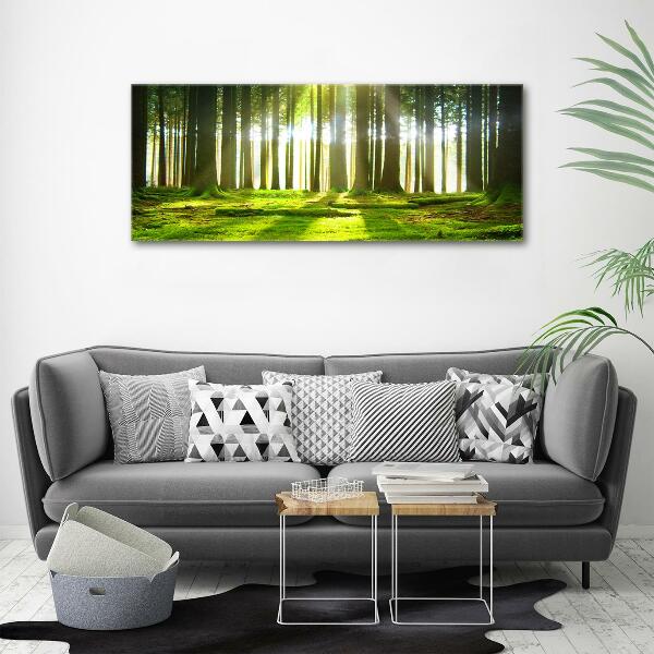 Glass picture wall art Forest in the sun