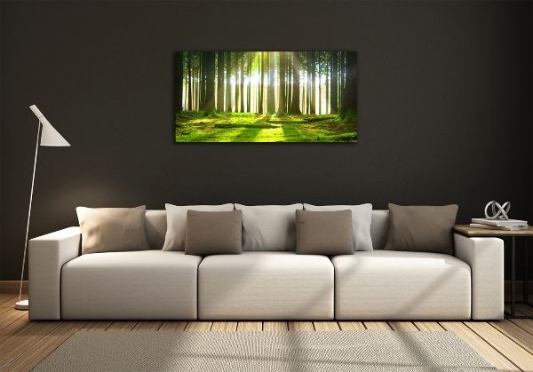 Glass picture wall art Forest in the sun