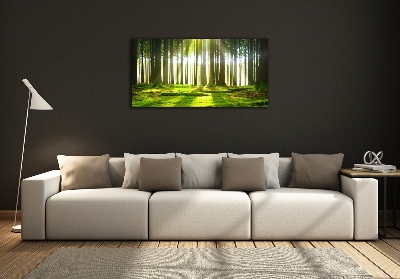 Glass picture wall art Forest in the sun