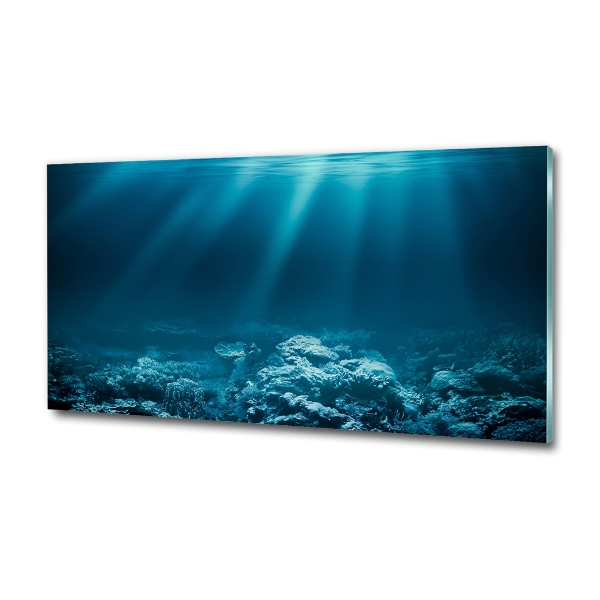 Glass picture wall art Underwater world