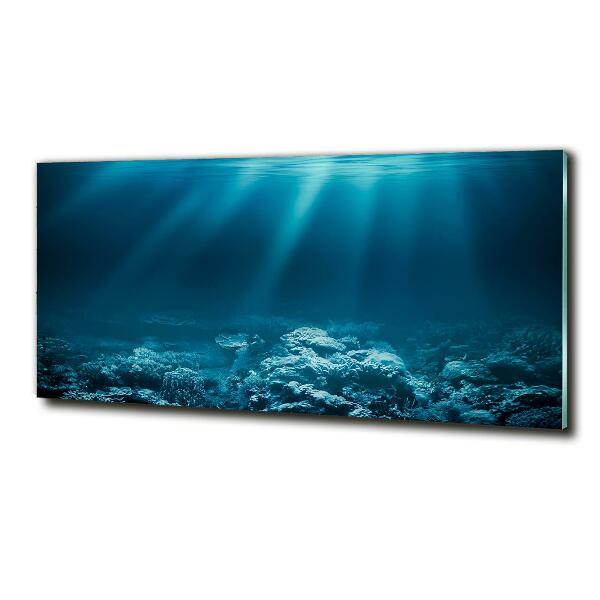 Glass picture wall art Underwater world