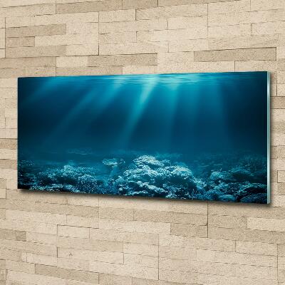 Glass picture wall art Underwater world