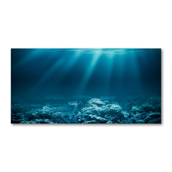 Glass picture wall art Underwater world