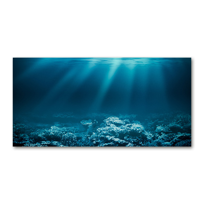 Glass picture wall art Underwater world